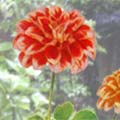 2001年08月