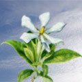 2001年06月