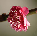 2006年02月