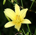 2005年07月