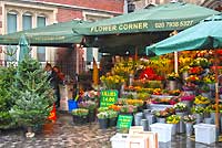 Kensington High Street