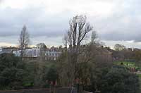 Royal Garden Hotel 409̕i