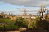 window view