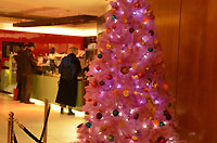 Royal Festival Hall