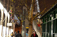 Golden Jubilee Bridge from Embankment