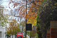 Notting Hill