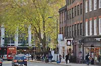 Kensington Church St