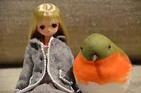 Robin from Christmas Cracker Shop