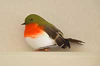 Robin from Christmas Cracker Shop