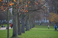 Kensington Gardens