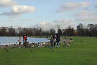Round Pond