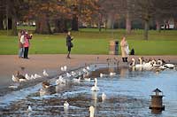 Round Pond