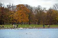 Round Pond
