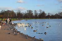 Round Pond