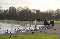 Round Pond
