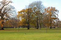 Round Pond