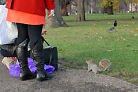 Kensington Gardens