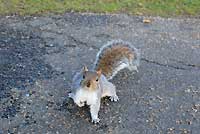 Kensington Gardens