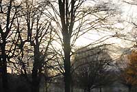 Kensington Gardens