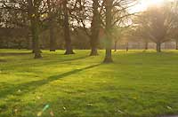 Kensington Gardens