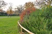 Kensington Gardens