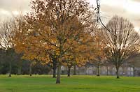 Kensington Gardens