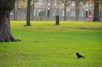 Kensington Gardens