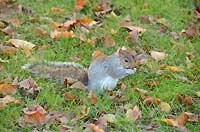 Kensington Gardens