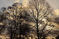 Kensington Gardens