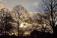 Kensington Gardens