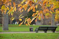 Kensington Gardens