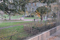 bus route 10