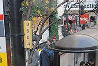 bus route 10
