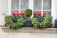 Lower Sloane Street