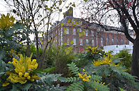 Chelsea Royal Hospital