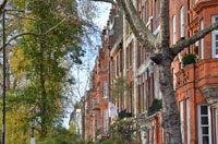 Cheyne Walk