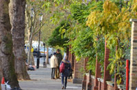 Cheyne Walk