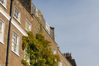 Cheyne Walk