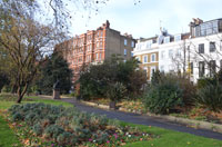 Albert Bridge Gardens