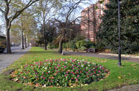 Albert Bridge Gardens