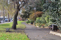 Albert Bridge Gardens