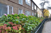 Milmans Street