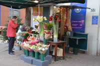 Kings Road