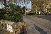 Kings Road