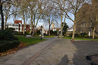 Kings Road