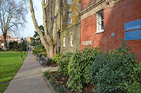 Kings Road
