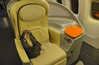 JL402 JA736J B777-346ER