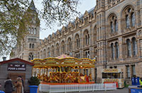 National History Museum