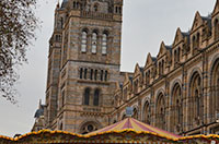 National History Museum