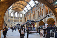 National History Museum